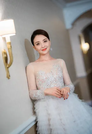 孙茜澳洲电影节性感图片_5