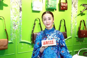 赵涛古典优雅写真图片