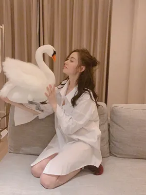 张天爱居家私服照图片_2