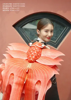金晨优雅温婉写真图片_5