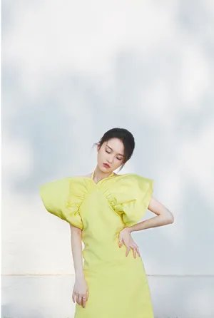 张慧雯萌黄色调写真图片_4