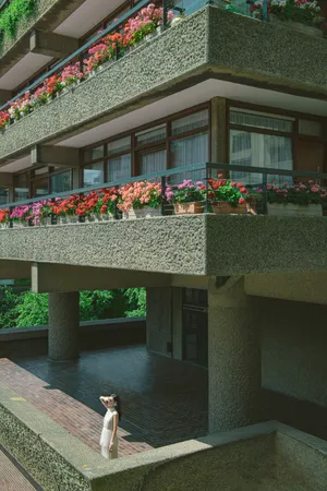 张予曦优雅古典写真图片