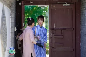 杨紫《中餐厅第三季》图片