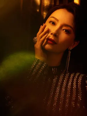 陈数优雅性感旗袍写真图片_8