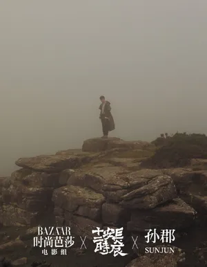 雷佳音复古意境时尚大片写真图片_3