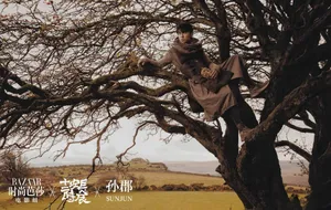 雷佳音复古意境时尚大片写真图片_4