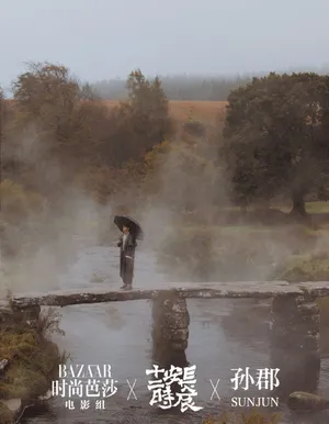雷佳音复古意境时尚大片写真图片_5