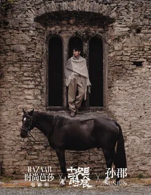 雷佳音复古意境时尚大片写真图片_8