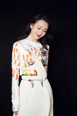 王鸥《推手》发布会气质写真图片_2