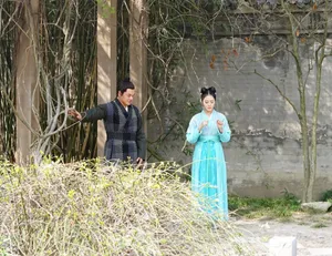 王梓薇知否知否应是绿肥红图片