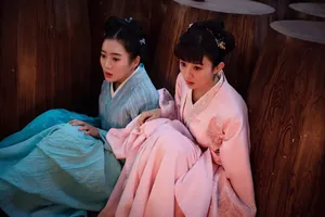王梓薇知否知否应是绿肥红图片_6
