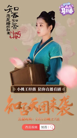 王梓薇知否知否应是绿肥红图片_12