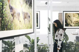 江一燕知性优雅摄影展图片_2