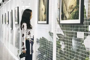 江一燕知性优雅摄影展图片_4