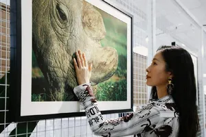 江一燕知性优雅摄影展图片_5