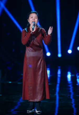 歌手2019龚琳娜优雅舞台照图片