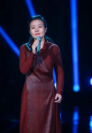 歌手2019龚琳娜优雅舞台照图片_2