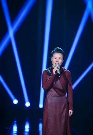 歌手2019龚琳娜优雅舞台照图片_4