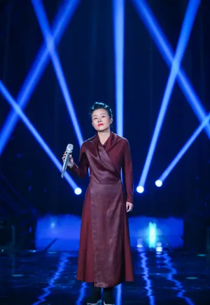 歌手2019龚琳娜优雅舞台照图片_5