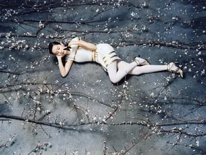 刘亦菲优雅性感大片写真图片_2