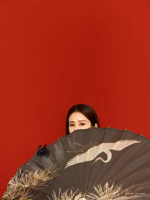 颖儿摩登性感大片写真图片_10