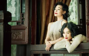 陈冲邬君梅唯美复古风写真图片_8