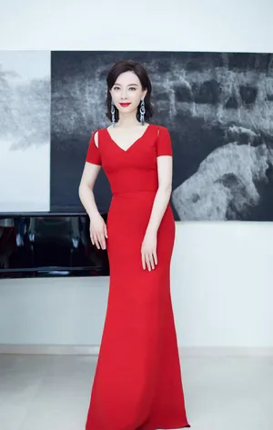 陈数北京国际电影节美艳动人图片
