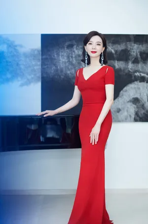 陈数北京国际电影节美艳动人图片