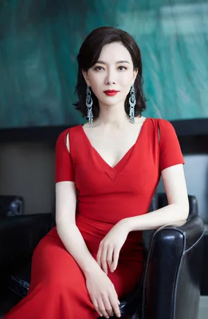 陈数北京国际电影节美艳动人图片_2