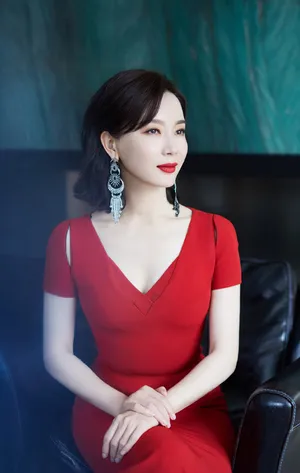 陈数北京国际电影节美艳动人图片_5