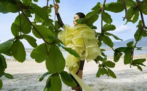 angelababy优雅性感海边写真图片_5