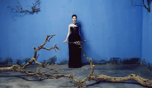 刘亦菲复古魅力杂志封面大片_3