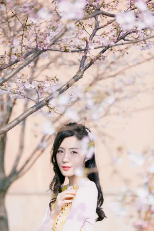 汤晶媚优雅气质樱花大片写真图片_3