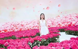 王鸥清新素雅活动照图片