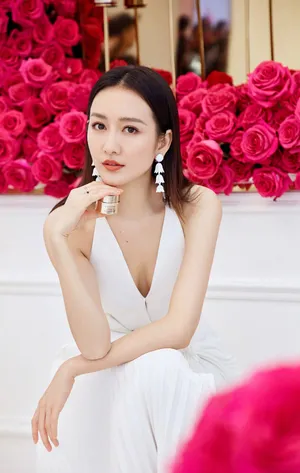 王鸥清新素雅活动照图片_8