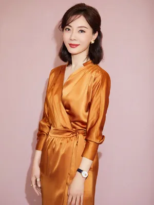 陈数性感优雅知性写真图片_7