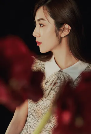 王晓晨优雅妩媚时尚写真图片