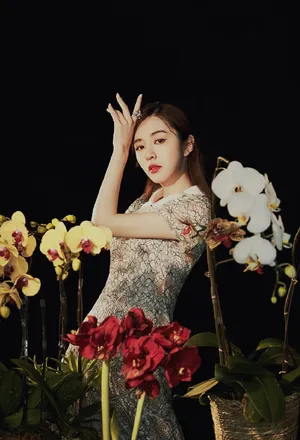 王晓晨优雅妩媚时尚写真图片_3