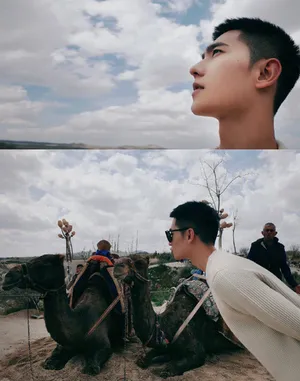 杨洋清爽短发随性写真图片
