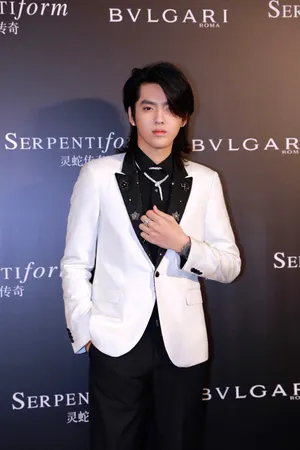 吴亦凡酷帅前卫写真图片
