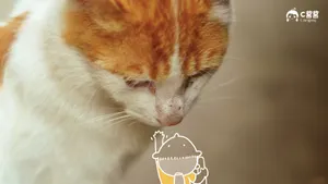 恶搞喵星人_2