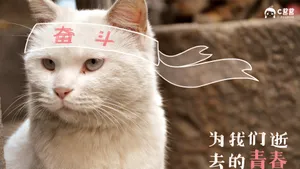 恶搞喵星人_7