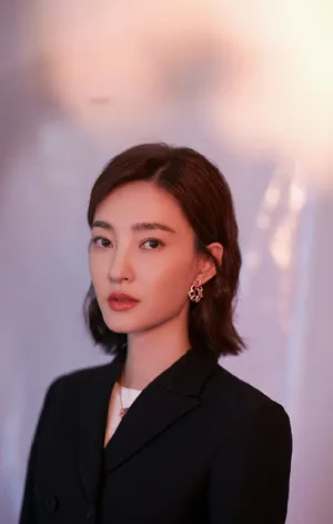 王丽坤优雅精致写真图片