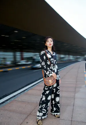 刘涛精致魅力机场写真图片