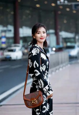 刘涛精致魅力机场写真图片_7