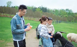 《妻子的浪漫旅行2》买超张嘉倪图片_2