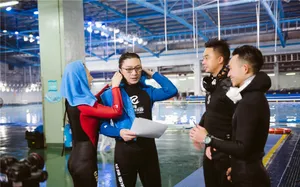 《妻子的浪漫旅行2》汪峰章子怡图片