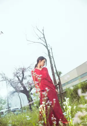 倪妮红色长裙优雅性感写真图片_4