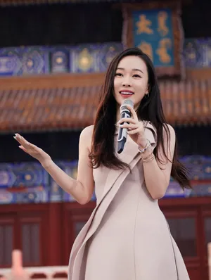 霍思燕亚洲影视周性感图片_5