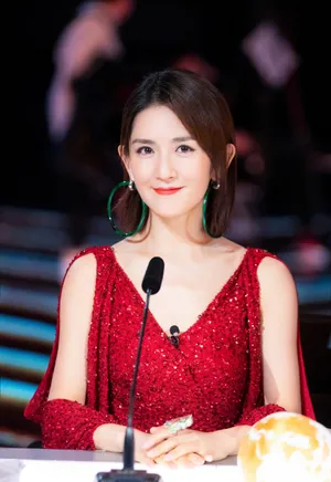 谢娜《巅峰之夜》美艳图片